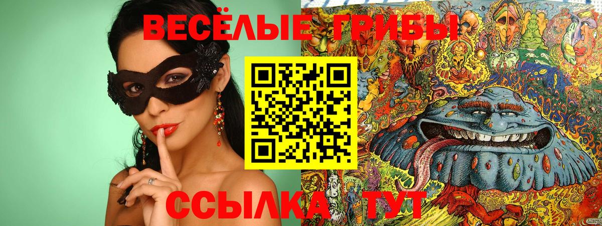 Галлюциногенные грибы Cubensis Рубцовск